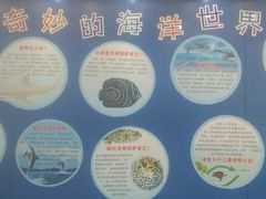 -上海海洋大学鱼文化博物馆(军工路校区)