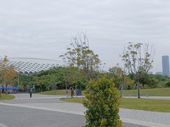 -深圳人才公园