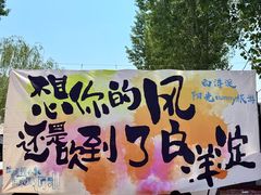-白洋淀景区