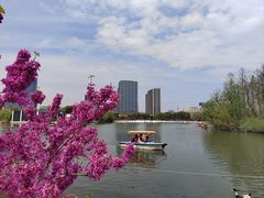 -大宁公园