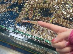 -三旗百汇商品城