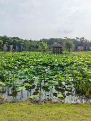 -前小桔亲子创意农场·草莓采摘·露营烧烤