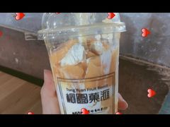 -桐园果汇(湖贝店)