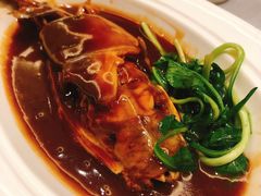 红烧河豚鱼-狮王府淮扬菜(新街口友谊店)