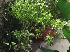 -春暖花开(西溪店)