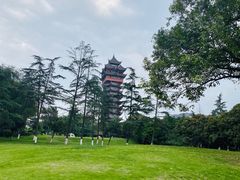 -塔子山公园