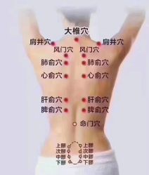 -香薇妮丝·定制减肥·身材管理