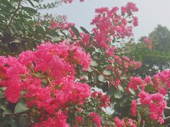 -辛亥革命博物院北区