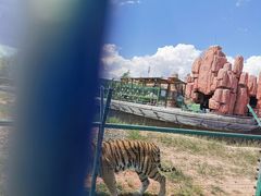 -鄂尔多斯野生动物园