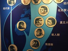 -国家自然博物馆