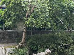 -汇龙潭