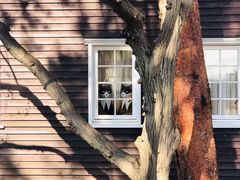 -三鹰之森吉卜力美术馆