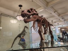 -美国自然历史博物馆