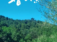 -北京西山国家森林公园