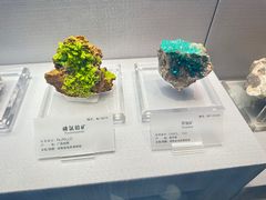 -湖南省地质博物馆