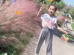 -前小桔亲子创意农场·草莓采摘·露营烧烤