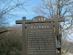 -阳台山自然风景区