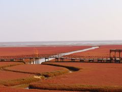 -红海滩国家风景廊道