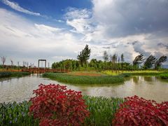 -呈贡滇池生态湿地公园