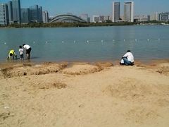 -天鹅湖体育公园