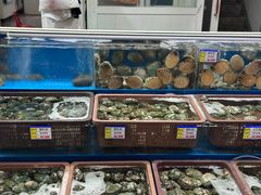 -西归浦每天偶来市场