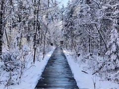 -长白山万达喜来登度假酒店