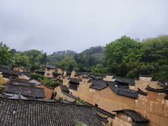 -杨家堂村