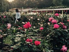 -人民公园(罗湖区)