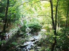 -藏龙百瀑风景区