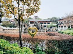 -广东花都湖国家湿地公园