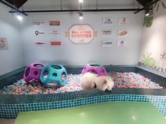 -太阳岛度假酒店