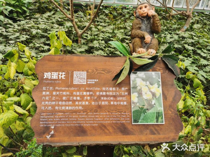 南宫五洲植物乐园图片