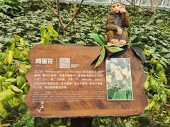 -南宫五洲植物乐园