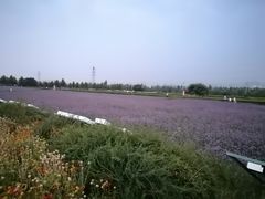 -君乐宝优致牧场