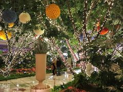 -拉斯维加斯永利酒店