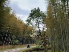 -黄公望隐居地