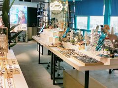 -Trend1881视光·蔡司视觉(领展广场店)
