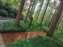 -上海怡沁园度假酒店