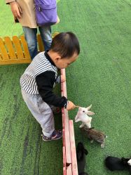 -萌宠亲子动物乐园(槐房万达店)