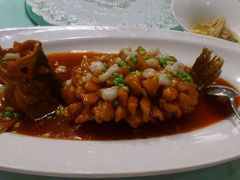 松鼠桂鱼-福1039(愚园路店)
