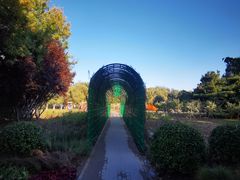 -大兴滨河森林公园