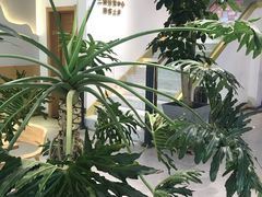 -山住茶(鲁商中心沿街店)