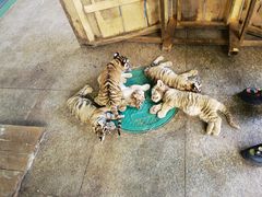 -秦皇岛野生动物园