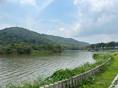 -风云岭森林公园