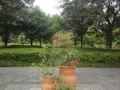 -白塘生态植物园