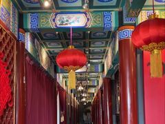 -羲和雅苑•北京烤鸭(平安国际金融中心店)