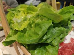-九孔·筒骨莲藕汤锅(大明宫万达店)