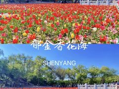 -北陵公园