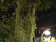 -自然餐厅(Phuket)