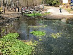 -白水寺森林公园